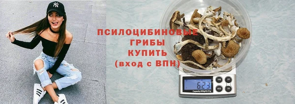бошки Арсеньев