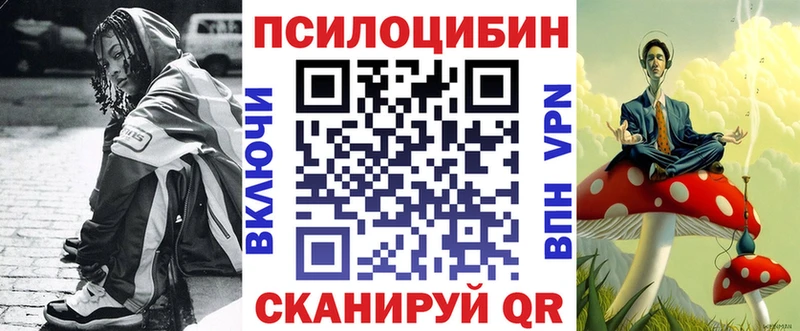 Псилоцибиновые грибы Psilocybe  Лаишево 